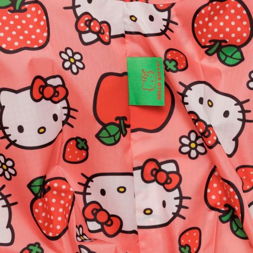 HelloKittyAppleStandardBaggu4