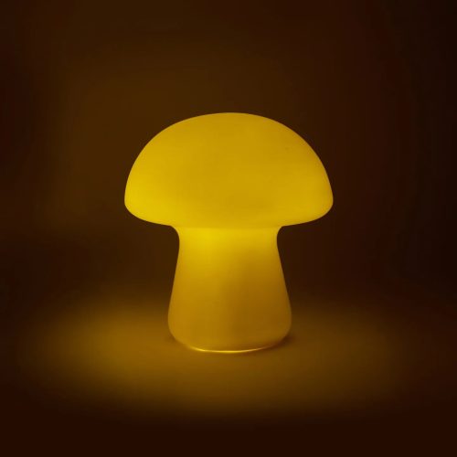 MediumMushroomLightkikkerland2