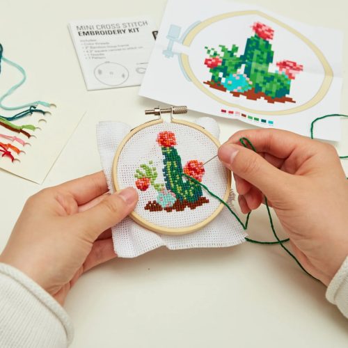 MiniCrossStitchKit Cactuskikkerland2