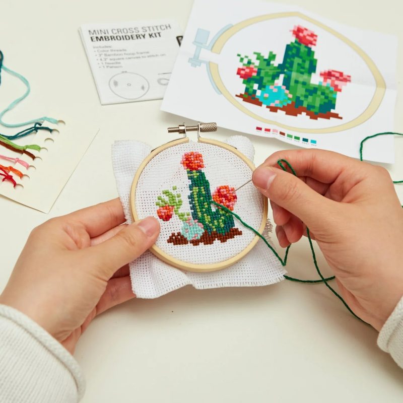 MiniCrossStitchKit Cactuskikkerland2