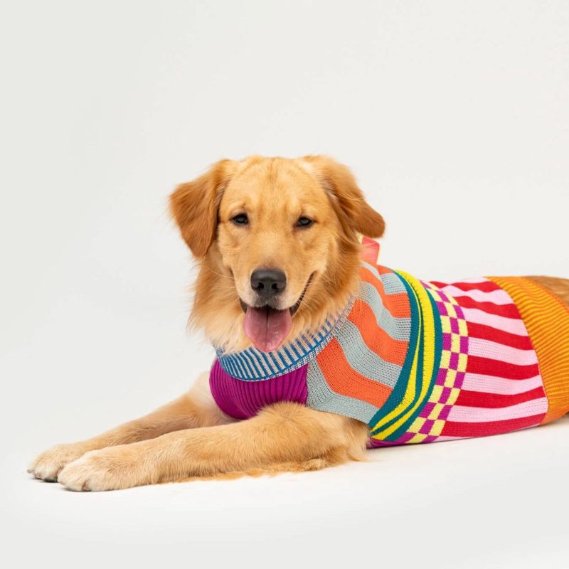 RainbowPatternPatchDogSweaterverloop4