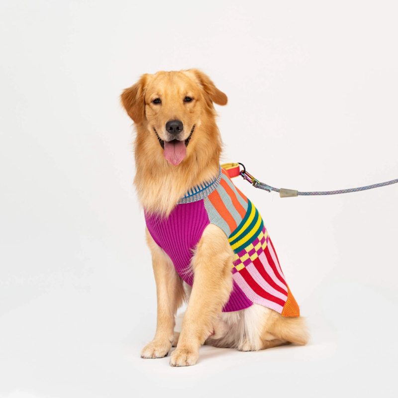 RainbowPatternPatchDogSweaterverloop5