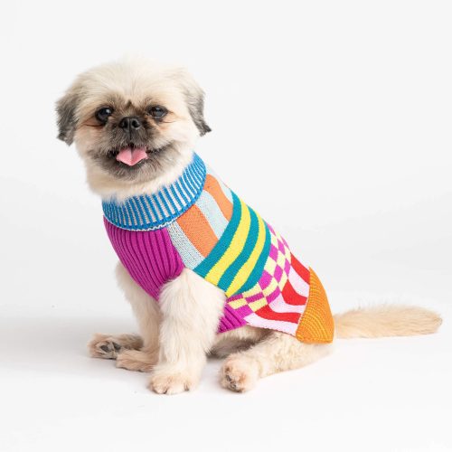 RainbowPatternPatchDogSweaterverloop6