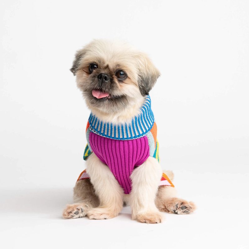 RainbowPatternPatchDogSweaterverloop7