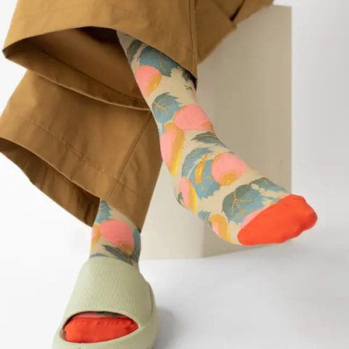 SaugeFruitSockbonnemaison3