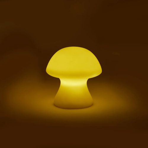 SmallMushroomLightkikkerland2