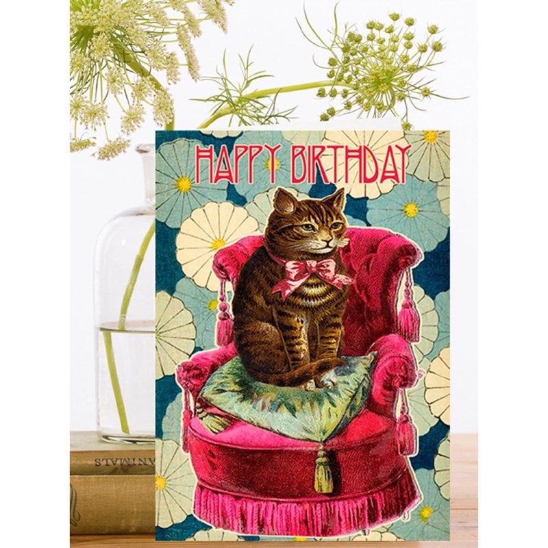 cushioncatbirthdaycardmadametreacle