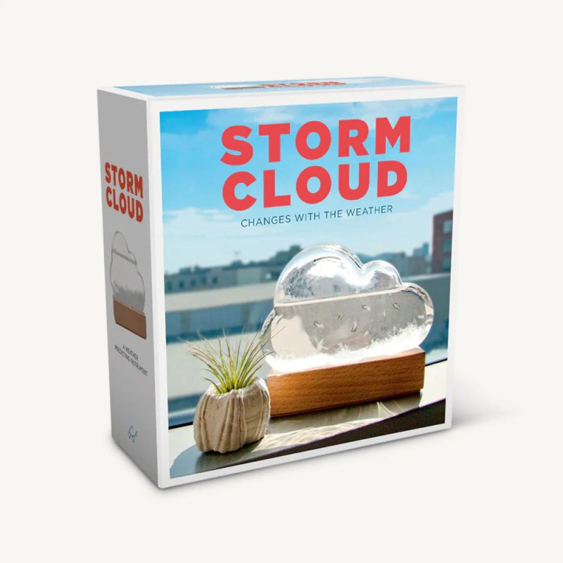 stormcloudweatherpredictorchroniclebooks